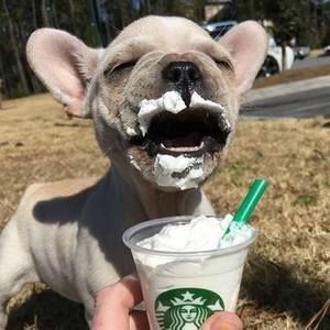 Meet your Posher, Sandy